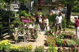 Fete Des Fleurs