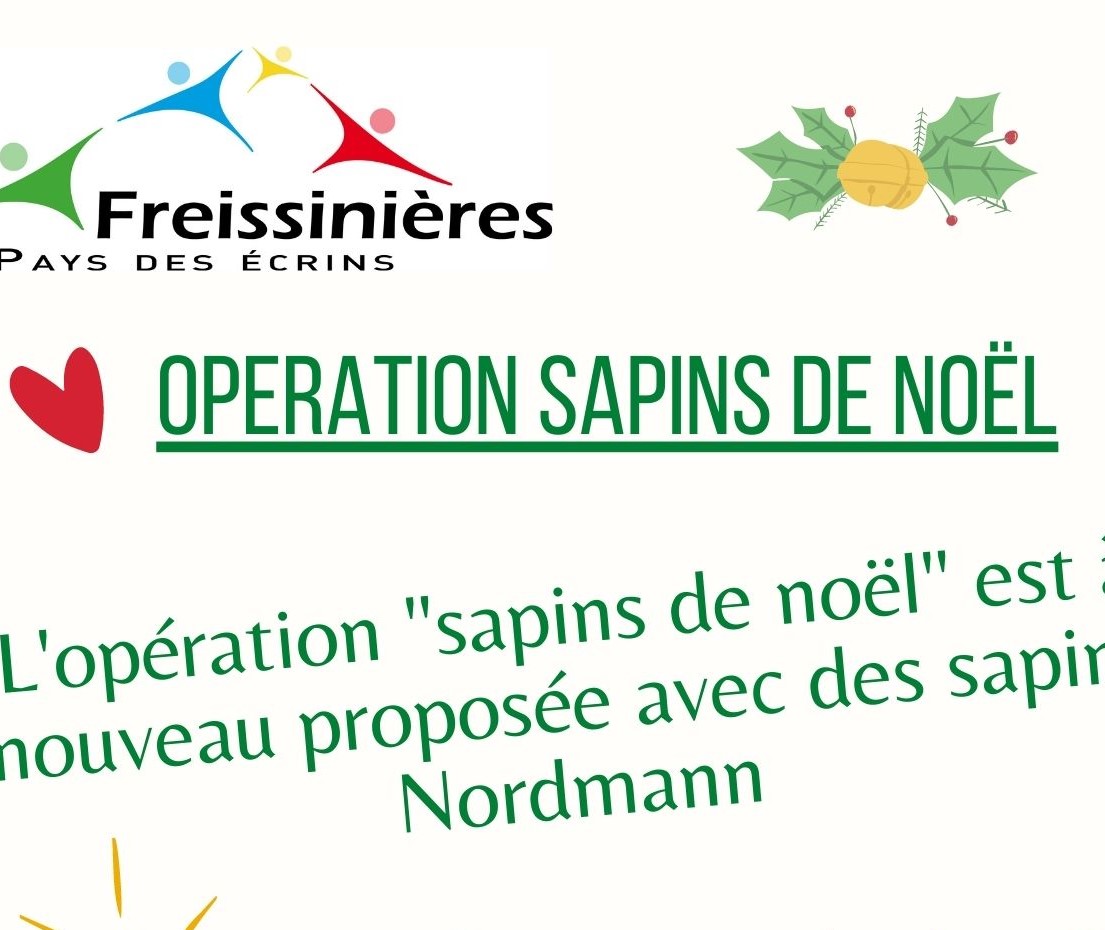 Sapins%201